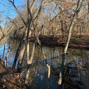 Meet your Posher, Gina